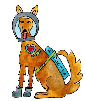 F534f0ae26dc7f97c8a87cf688169109af06e8ec large